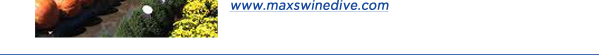 www.maxswinedive.com