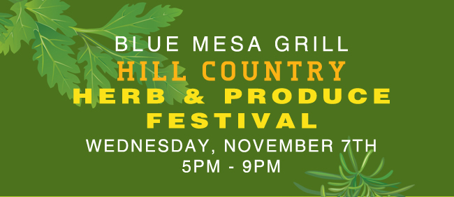 Blue Mesa Grill