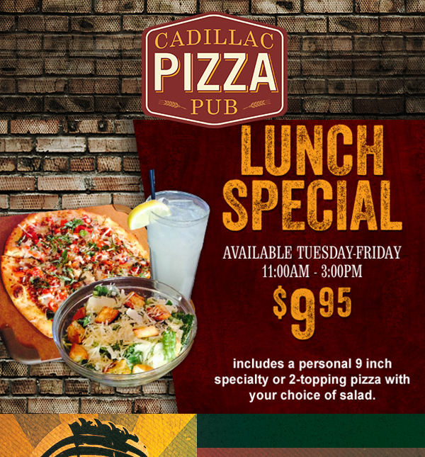 Lunch Special
							 $9.95
							 See image for full details