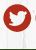 www.twitter.com/1971celebration