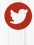 www.twitter.com/1971celebration