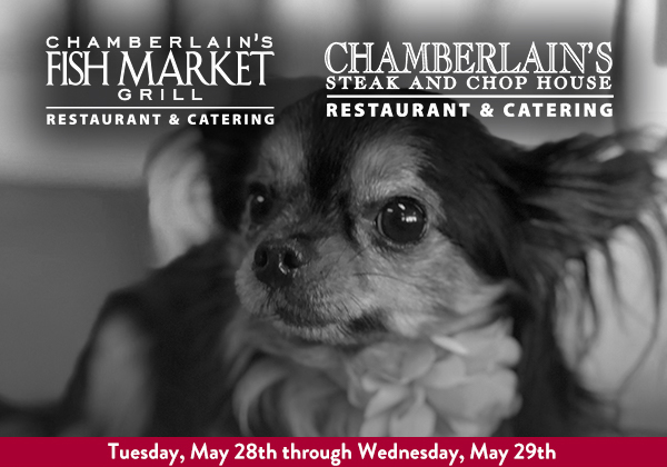 
							 See image for full disclaimer