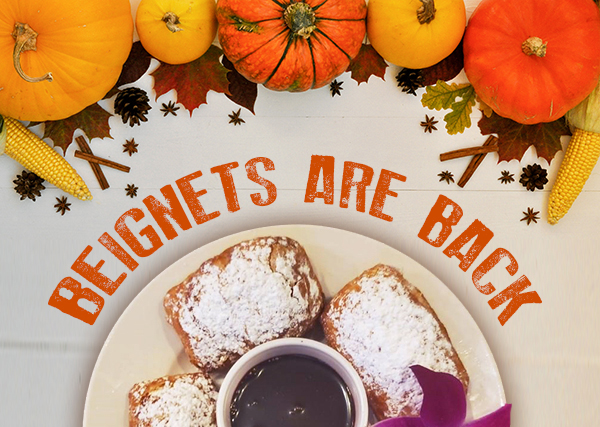 
							 See image for full details