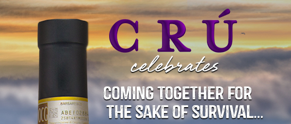 
							 See image for full details