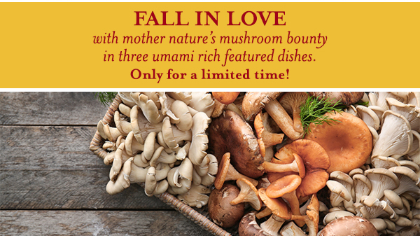 
							 See image for full details