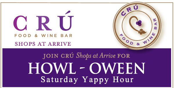 
							 See image for full details