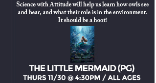 
								 See image for full details
