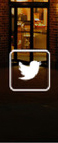 lombardocustomapparel.com
							17604 North Dallas Parkway, Dallas, TX 75287 - (214) 265-8488