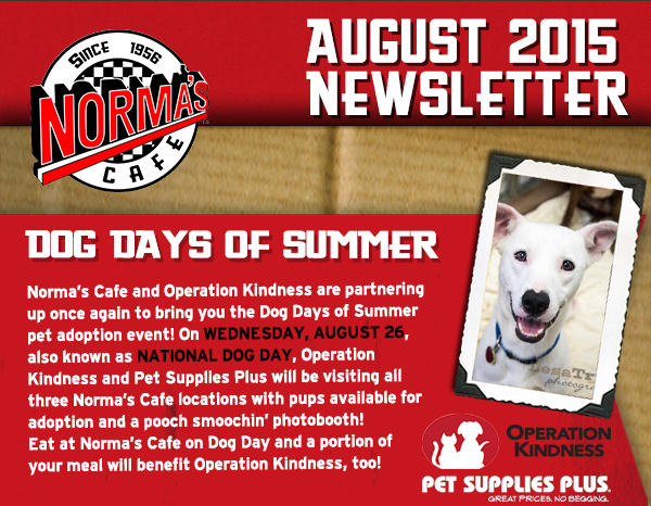 Norma's Cafe Newsletter