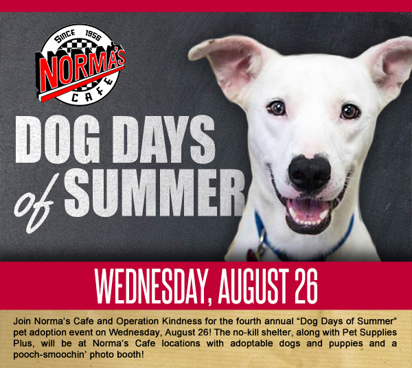 Dog Days of Summer
							 Wednesday, August 26
							 See image for full details