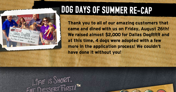 Dog Days of Summer Recap