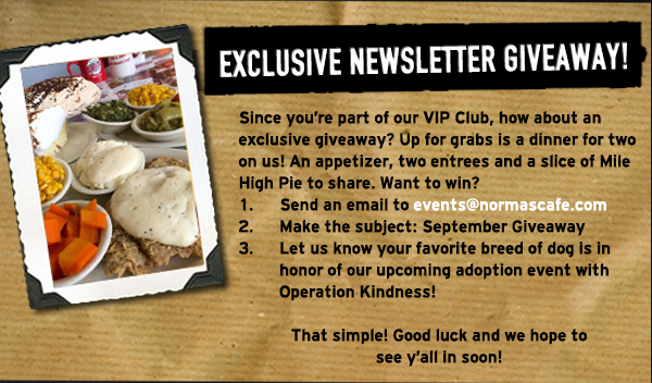 Norma's Cafe Newsletter