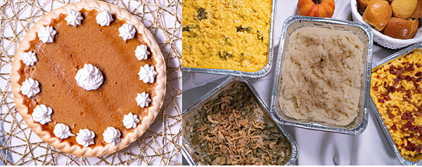 Norma's Cafe Newsletter