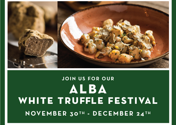 
							 See image for full details