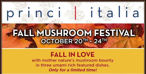 princiitalia.com
							 See image for full details