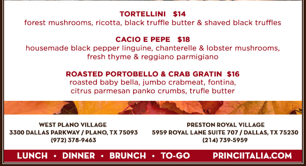 princiitalia.com
							 See image for full details