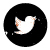 Twitter Icon