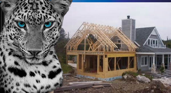 See image for full details